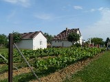 Villa te koop in Bakonya, Hongarije
